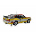 Audi Rallye quattro Röhrl / Geistdörfer RMC 1984 Modellauto Miniatur 1:18